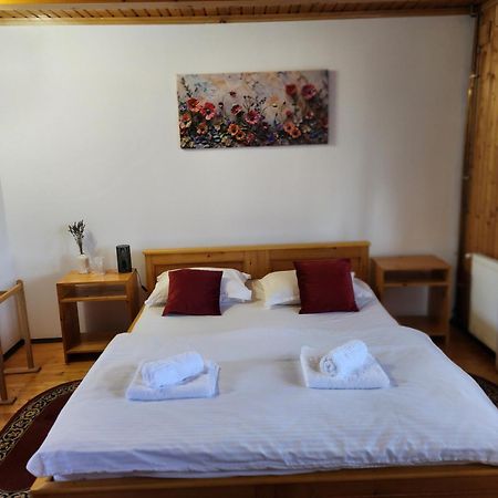 Casa Amalia Tocile -Sadu Hotel Exterior photo