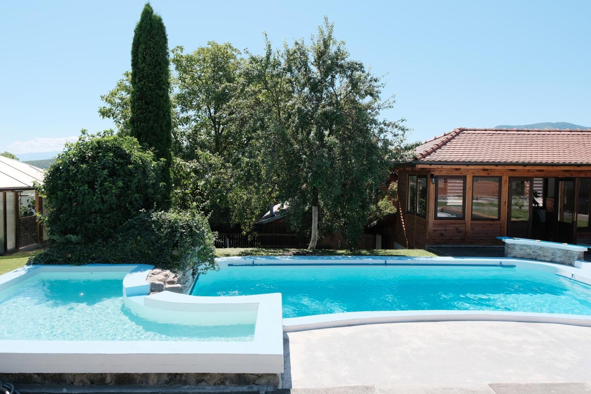 Casa Amalia Tocile -Sadu Hotel Exterior photo